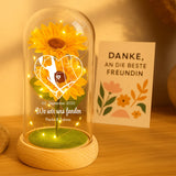 Ewige Sonnenblume in Glaskuppel als Valentinstagsgeschenk von Love & Faith
